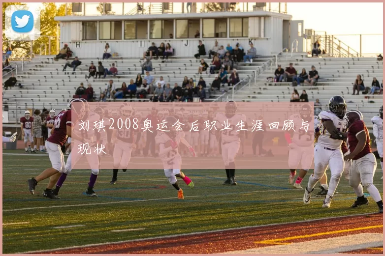 刘琪2008奥运会后职业生涯回顾与现状