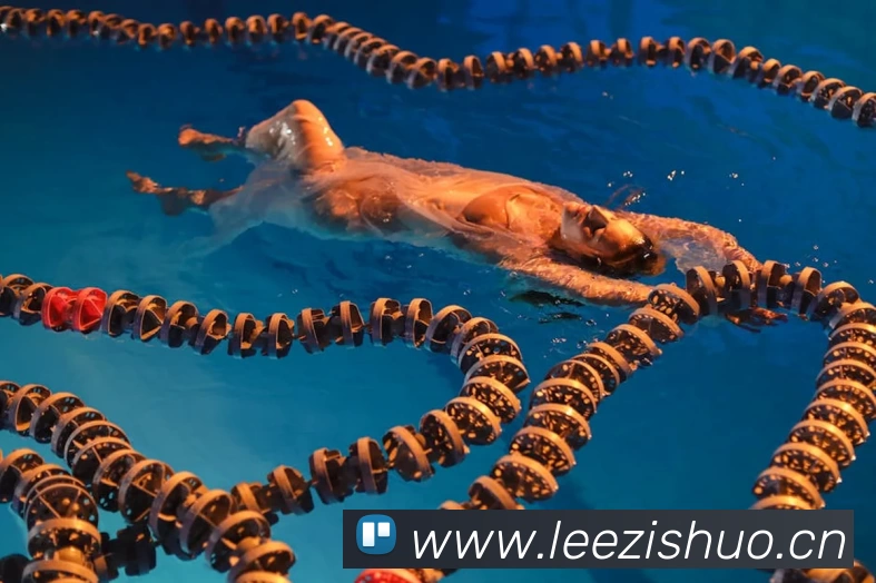 中欧体育(zoty)官方网站 - Official Website平台生态图